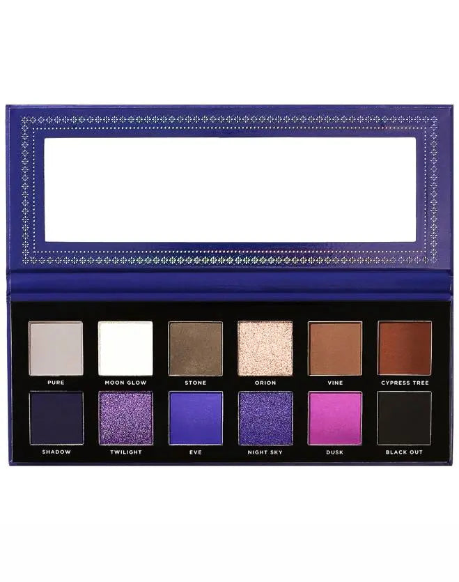 Paradise Fallen Palette Ace Beauté